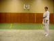 03_Mae-Ukemi_frei.gif